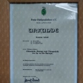 Bild vergrößern: certificate 9