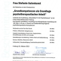 Bild vergrößern: certificate 6