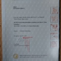 Bild vergrößern: certificate 5