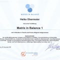 Bild vergrößern: certificate 13