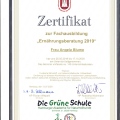 Bild vergrößern: certificate 3