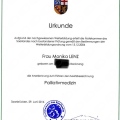 Bild vergrößern: certificate 5