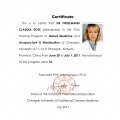 Bild vergrößern: certificate 7