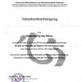 Bild vergrößern: certificate 8