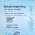 Bild vergrößern: certificate 27