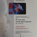 Bild vergrößern: certificate 1