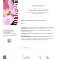 Bild vergrößern: certificate 8