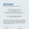 Bild vergrößern: certificate 5