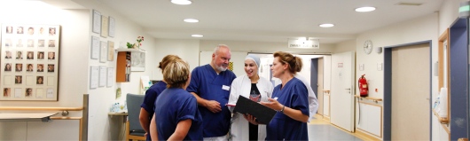 Kliniken i.Theodor-Wenzel-Werk Psychiatrische Tagesklinik Lankwitz-0