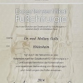 Bild vergrößern: certificate 3