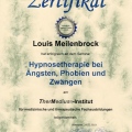 Bild vergrößern: certificate 9