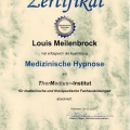 Bild vergrößern: certificate 7