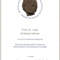Bild vergrößern: certificate 6