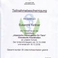 Bild vergrößern: certificate 8