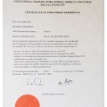 Bild vergrößern: certificate 2