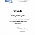 Bild vergrößern: certificate 7