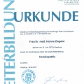 Bild vergrößern: certificate 5