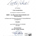 Bild vergrößern: certificate 4