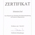 Bild vergrößern: certificate 34