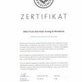 Bild vergrößern: certificate 1