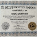 Bild vergrößern: certificate 3