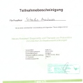 Bild vergrößern: certificate 1