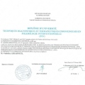 Bild vergrößern: certificate 7