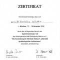 Bild vergrößern: certificate 8