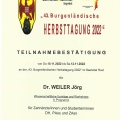 Bild vergrößern: certificate 2
