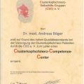 Bild vergrößern: certificate 7