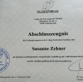 Bild vergrößern: certificate 3