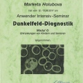 Bild vergrößern: certificate 46