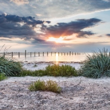 Dres. Mark Krauß, Robert Hoffmann, Philipp Heldmann und Rob Rudemann