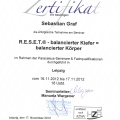Bild vergrößern: certificate 31