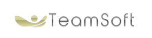 Teamsoft3