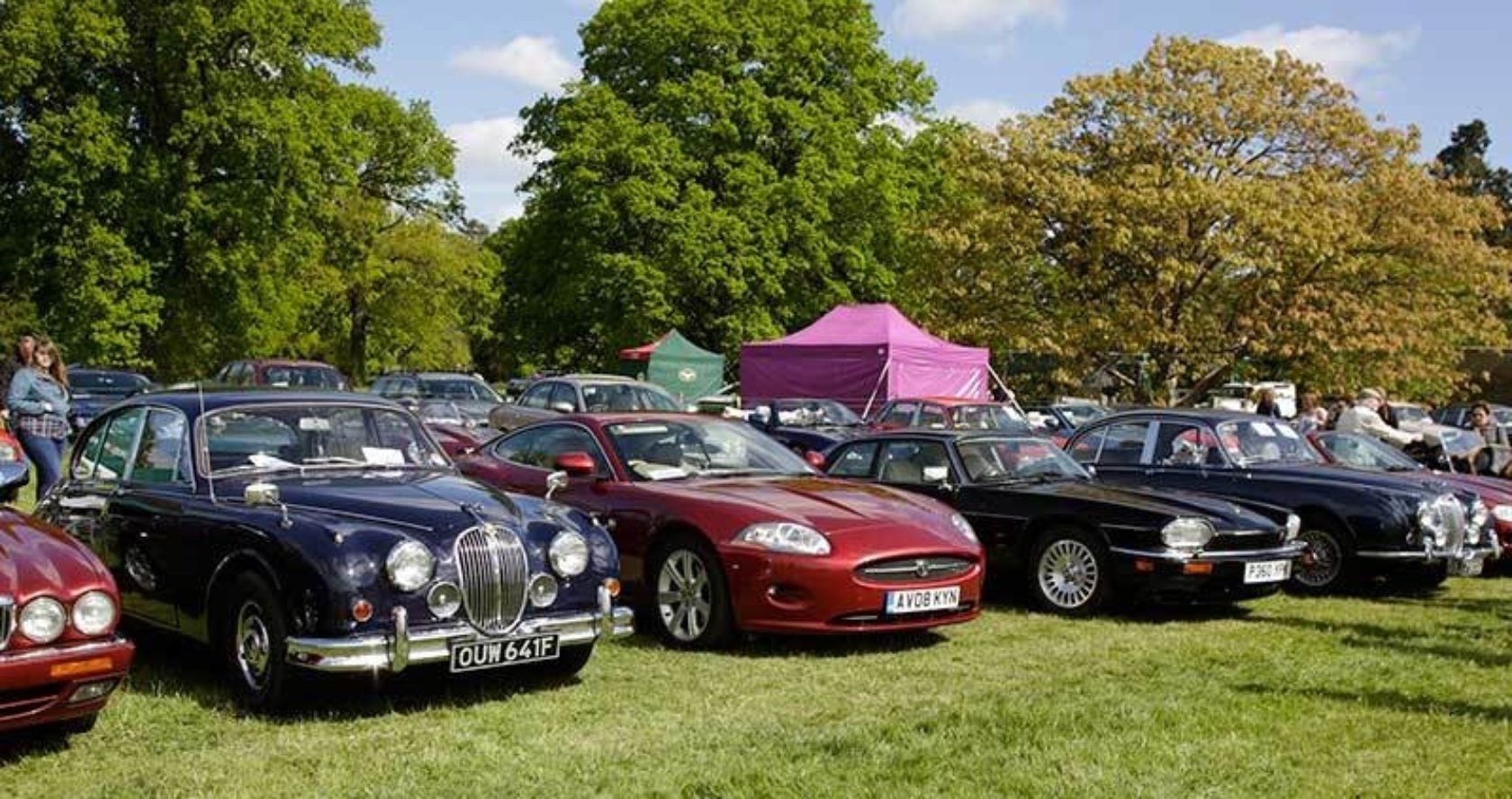 Jaguar club спб
