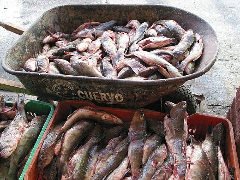 Early Booking Mexic 2026