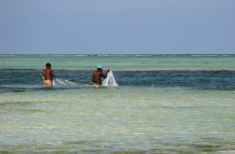 Last Minute Zanzibar 2026