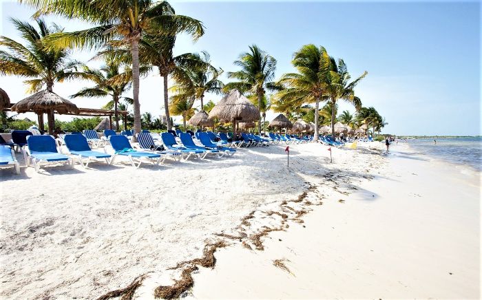 Bluebay Grand Esmeralda Mexic