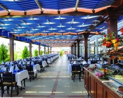 Club Cactus Paradise 10