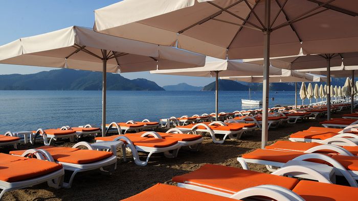 Elegance International 7