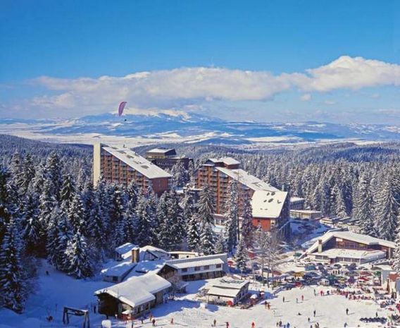 Lion Borovets 8