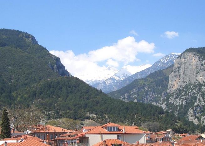 Mediterranean Olympus 10