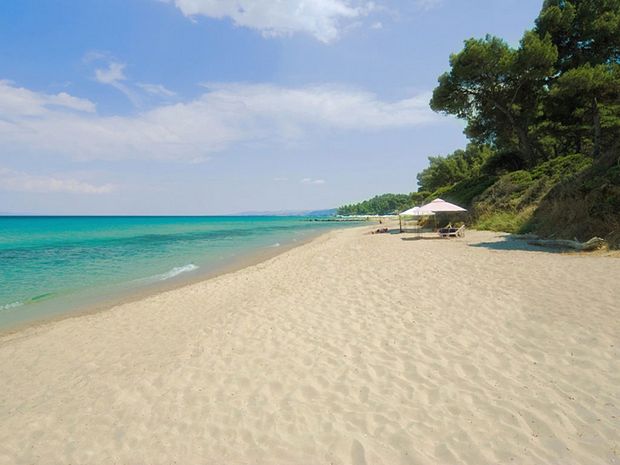 Palladium Halkidiki 8