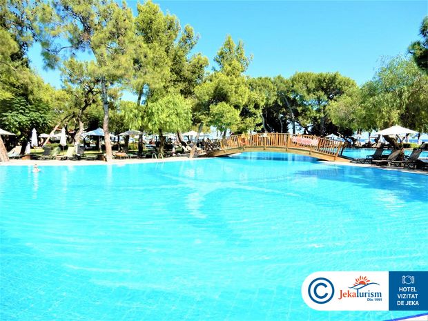 Poze Akka Antedon 14