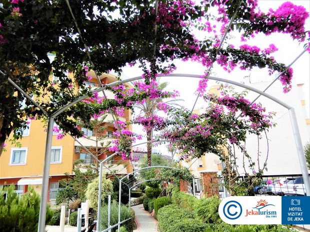 Poze Alaiye Resort & Spa 12