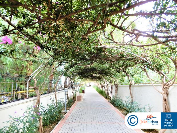 Poze Alaiye Resort & Spa 13