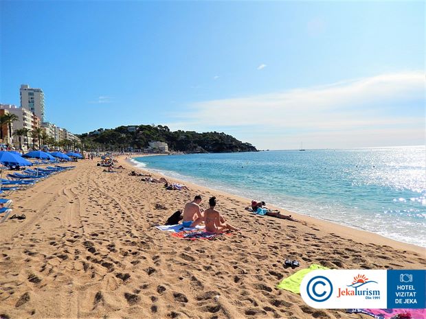 Poze Alba Seleqtta 9