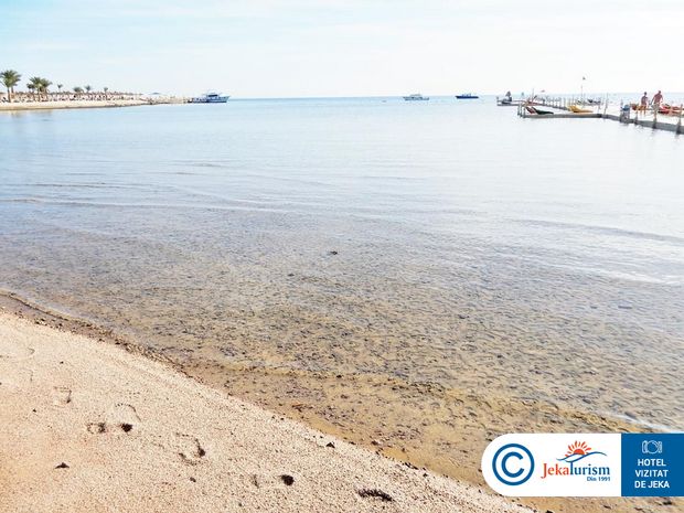 Poze Pickalbatros Palace 13