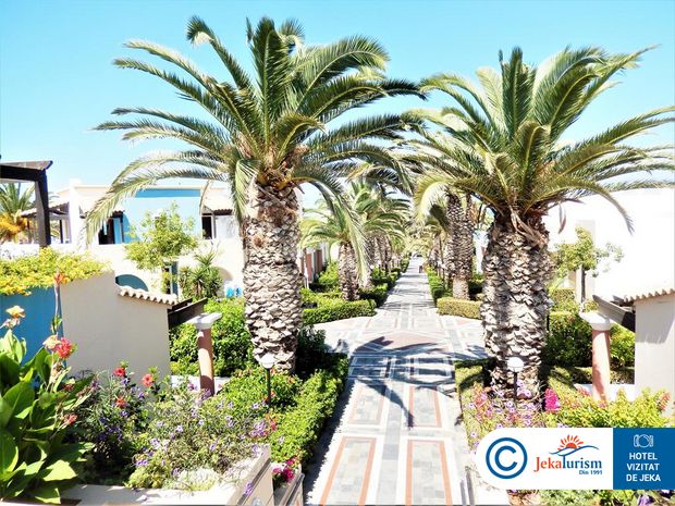 Poze Aldemar Knossos Royal 11